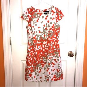 🌻Scarlett sz6 Polka Dot Zip Back Dress Like New🌻